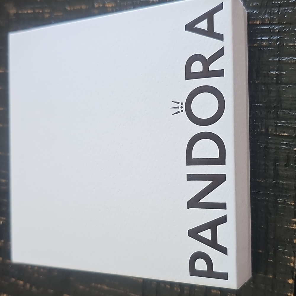 Pandora Moment Snake Chain Bracelet - Picture 9 of 10